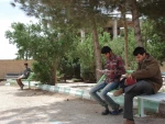نمایی از  فضای سبز مرکز