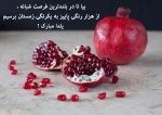 عمرتون ۱۰۰ شب یلدا/دلتون قد یه دریا /توی این شب های سرما/یادتون همیشه با ما

شب های یلدا مبارک 2