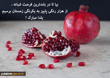 عمرتون ۱۰۰ شب یلدا/دلتون قد یه دریا /توی این شب های سرما/یادتون همیشه با ما

شب های یلدا مبارک 2
