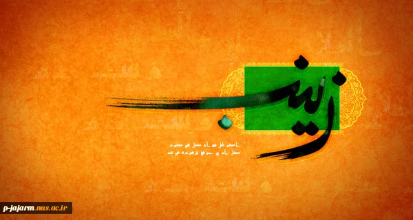 ولادت حضرت زینب و روز پرستار مبارک باد 3