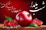 شب یلداست؛ شبى که در آن انار محبت دانه مى شود و سرخى عشق و عاطفه،
نثار کاسه هاى لبریز از شوق ما؛
شبى که داغى نگاه هاى زیباى بزرگ ترها در چشمان کودکان اوج مى گیرد و بالا مى رود. 3