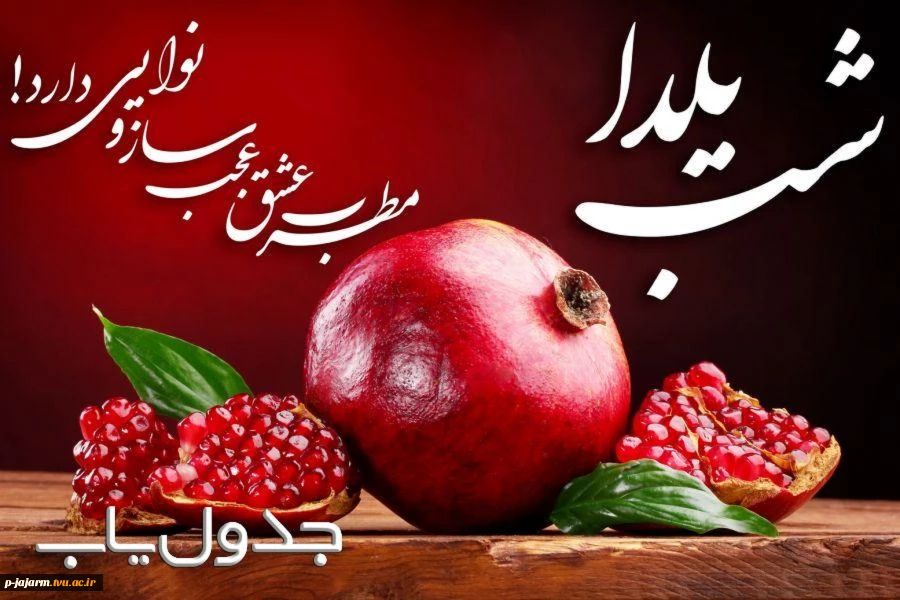 شب یلداست؛ شبى که در آن انار محبت دانه مى شود و سرخى عشق و عاطفه،
نثار کاسه هاى لبریز از شوق ما؛
شبى که داغى نگاه هاى زیباى بزرگ ترها در چشمان کودکان اوج مى گیرد و بالا مى رود. 4