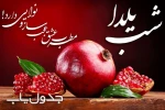 شب یلداست؛ شبى که در آن انار محبت دانه مى شود و سرخى عشق و عاطفه،
نثار کاسه هاى لبریز از شوق ما؛
شبى که داغى نگاه هاى زیباى بزرگ ترها در چشمان کودکان اوج مى گیرد و بالا مى رود. 5