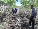 آبیاری و آفت کشی باغات و فضای سبز دانشکده با همیاری شرکت آبفای شهرستان جاجرم . چهارشنبه ۳۰ فروردین۱۴۰۲  2