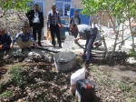 آبیاری و آفت کشی باغات و فضای سبز دانشکده با همیاری شرکت آبفای شهرستان جاجرم . چهارشنبه ۳۰ فروردین۱۴۰۲  3