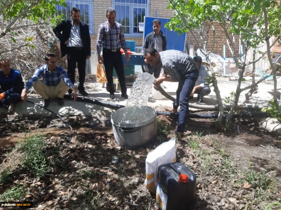 آبیاری و آفت کشی باغات و فضای سبز دانشکده با همیاری شرکت آبفای شهرستان جاجرم . چهارشنبه ۳۰ فروردین۱۴۰۲  3