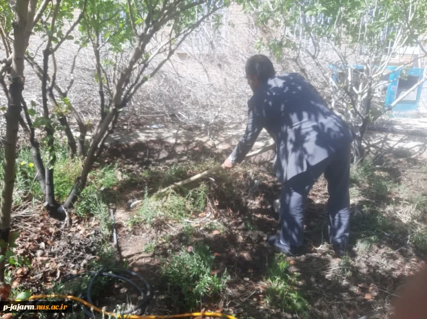 آبیاری و آفت کشی باغات و فضای سبز دانشکده با همیاری شرکت آبفای شهرستان جاجرم . چهارشنبه ۳۰ فروردین۱۴۰۲  5