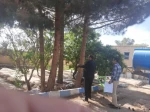 آبیاری و آفت کشی باغات و فضای سبز دانشکده با همیاری شرکت آبفای شهرستان جاجرم . چهارشنبه ۳۰ فروردین۱۴۰۲  6