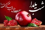 شب یلدا،  شبى که در آن انار محبت دانه مى شود و سرخى عشق و عاطفه،
نثار کاسه هاى لبریز از شوق ما؛
شبى که داغى نگاه هاى زیباى بزرگ ترها در چشمان کودکان اوج مى گیرد و بالا مى رود. 2