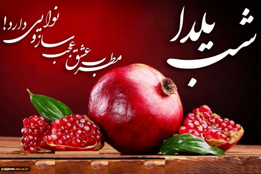 شب یلدا،  شبى که در آن انار محبت دانه مى شود و سرخى عشق و عاطفه،
نثار کاسه هاى لبریز از شوق ما؛
شبى که داغى نگاه هاى زیباى بزرگ ترها در چشمان کودکان اوج مى گیرد و بالا مى رود. 2