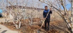آغاز عملیات و انجام موفق تست سیستم لوله کشی به منظور آبیاری  فضای سبز دانشکده فنی و حرفه ای جاجرم - 4 دی ماه 1402 2