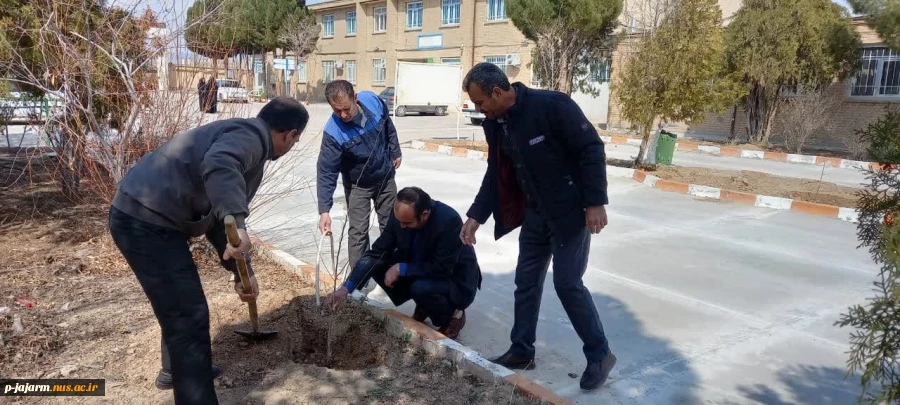 به مناسبت روز درخت کاری و هفته منابع طبیعی انجام شد: کاشت چندین اصله نهالِ مثمر در دانشکده فنی و حرفه ای جاجرم . 3