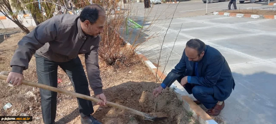 به مناسبت روز درخت کاری و هفته منابع طبیعی انجام شد: کاشت چندین اصله نهالِ مثمر در دانشکده فنی و حرفه ای جاجرم . 4