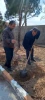 به مناسبت روز درخت کاری و هفته منابع طبیعی انجام شد: کاشت چندین اصله نهالِ مثمر در دانشکده فنی و حرفه ای جاجرم . 6