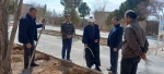 به مناسبت روز درخت کاری و هفته منابع طبیعی انجام شد: کاشت چندین اصله نهالِ مثمر در دانشکده فنی و حرفه ای جاجرم . 5