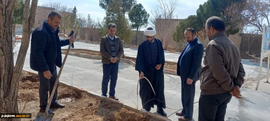 به مناسبت روز درخت کاری و هفته منابع طبیعی انجام شد: کاشت چندین اصله نهالِ مثمر در دانشکده فنی و حرفه ای جاجرم . 5