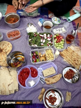 برگزاری برنامه صبحانه سالم در محل پارک مجتهد جاجرمی (چهارشنبه 24 اردیبهشت 1404) 5