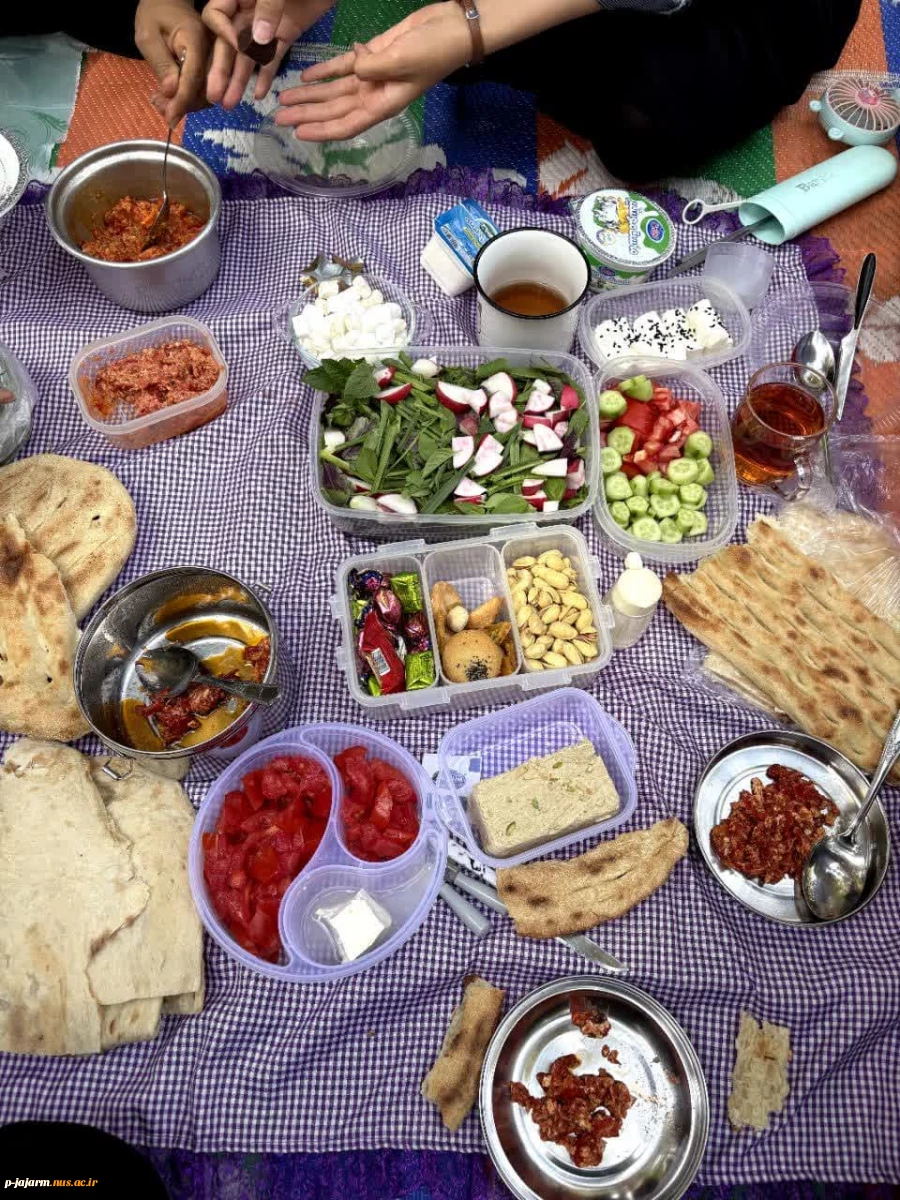 برگزاری برنامه صبحانه سالم در محل پارک مجتهد جاجرمی (چهارشنبه 24 اردیبهشت 1404) 5