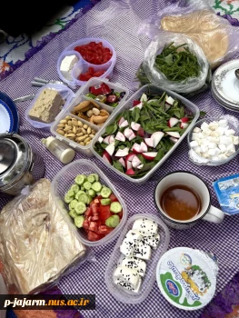 برگزاری برنامه صبحانه سالم در محل پارک مجتهد جاجرمی (چهارشنبه 24 اردیبهشت 1404) 8