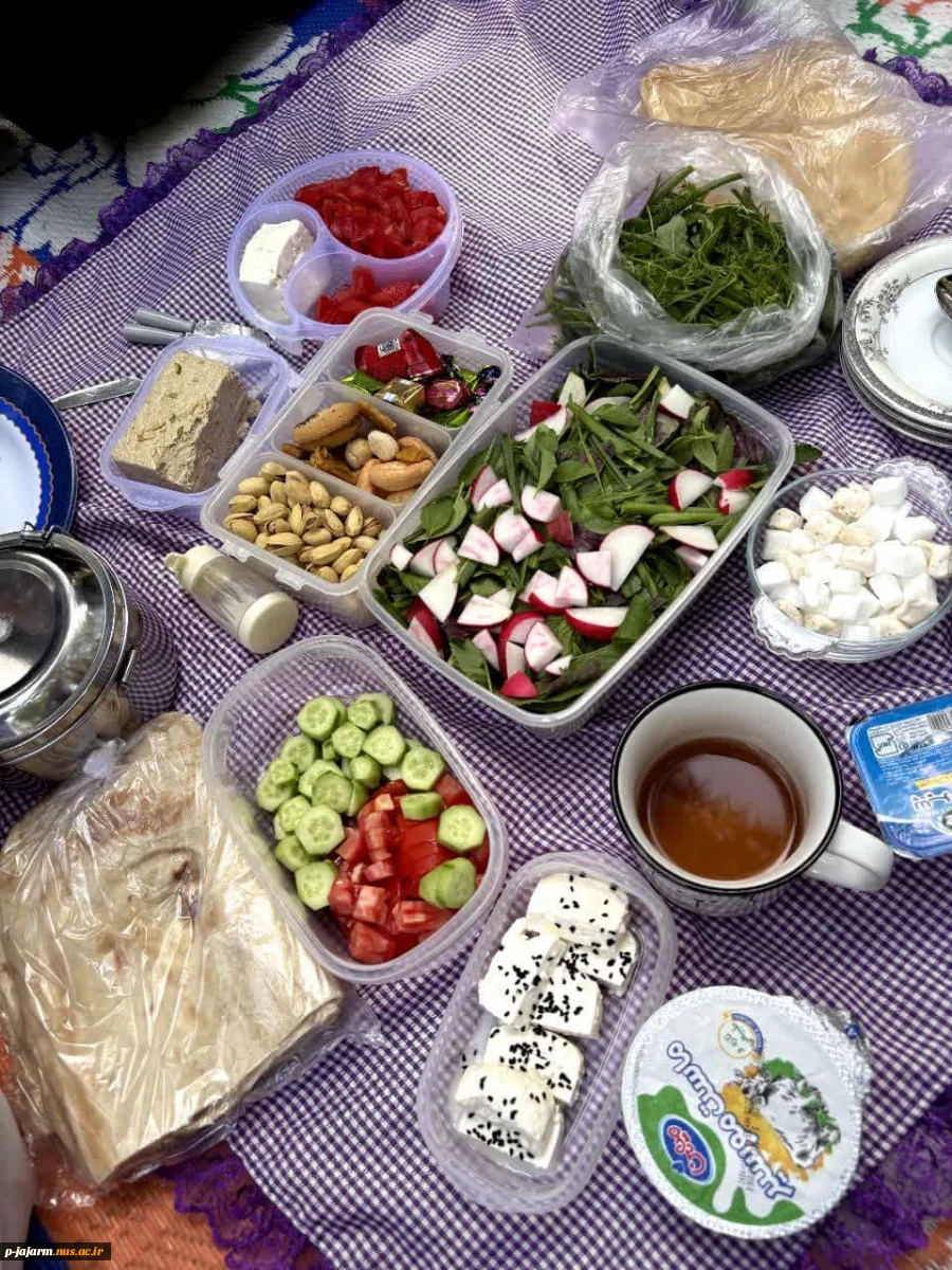 برگزاری برنامه صبحانه سالم در محل پارک مجتهد جاجرمی (چهارشنبه 24 اردیبهشت 1404) 8